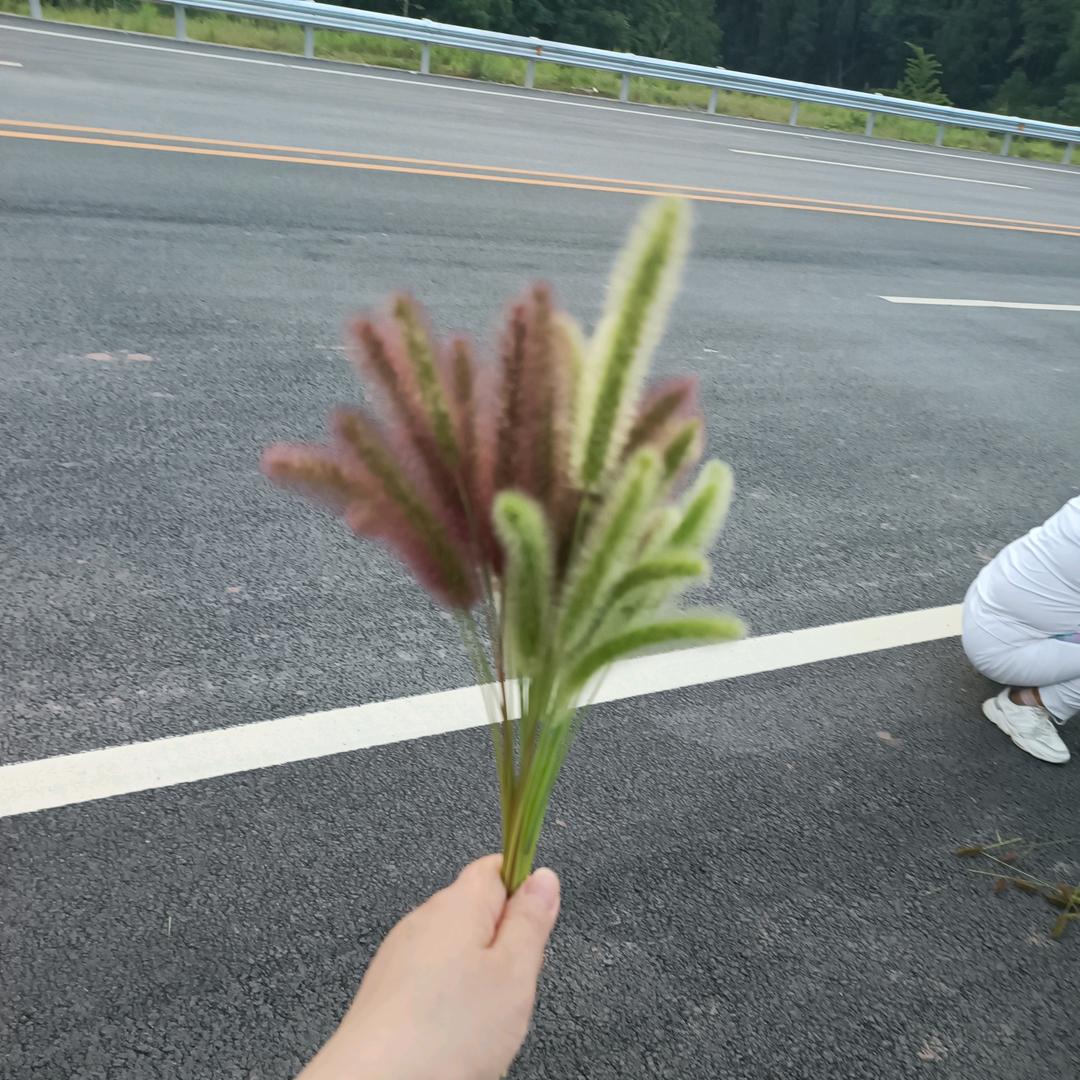 ￥一☞薪￥一￥亿☜