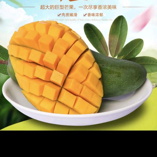 阳光攀果铺