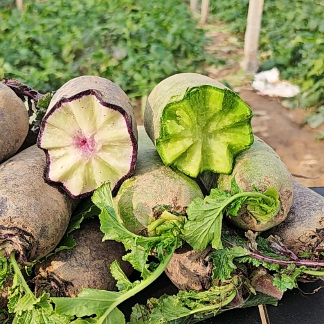 绿味坊果蔬