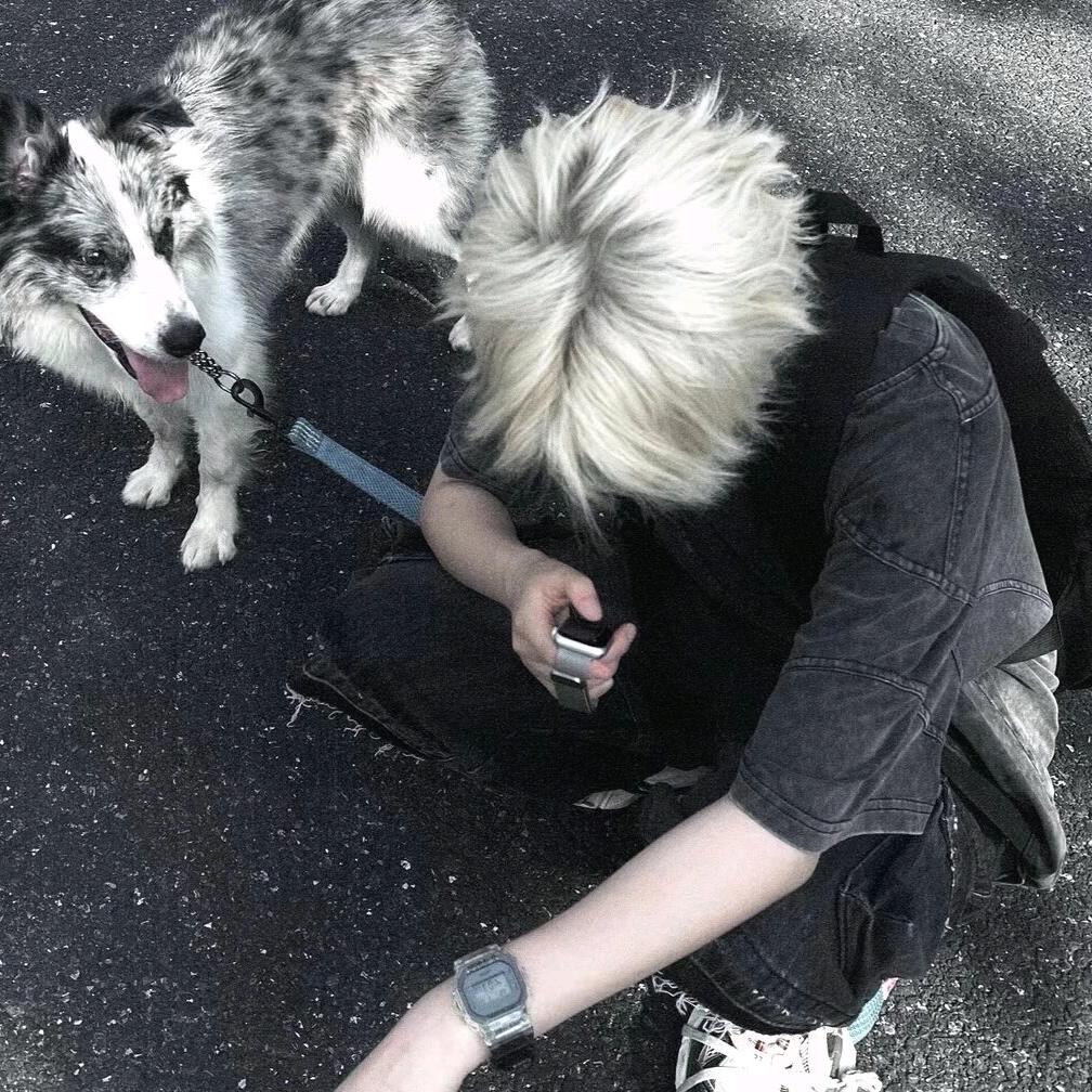 赳
