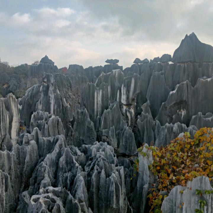 静！思！缘！（沈）