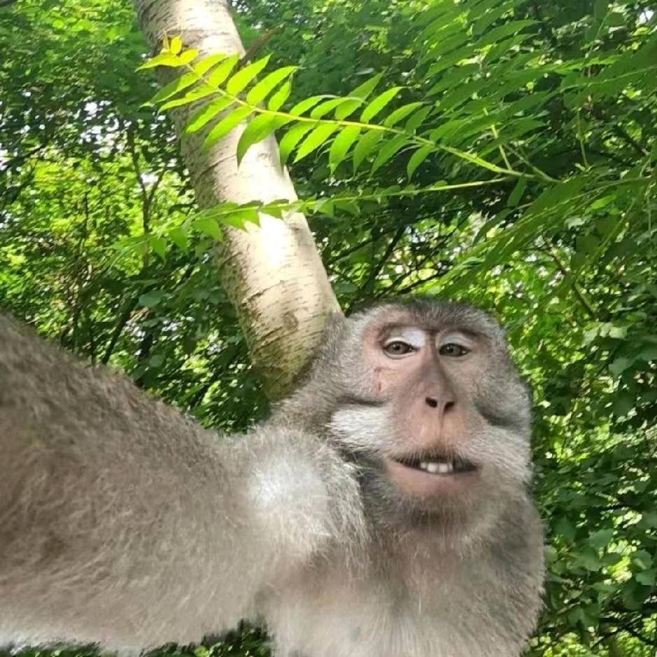 懒柱