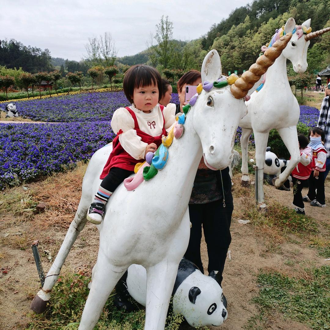 半夏清新