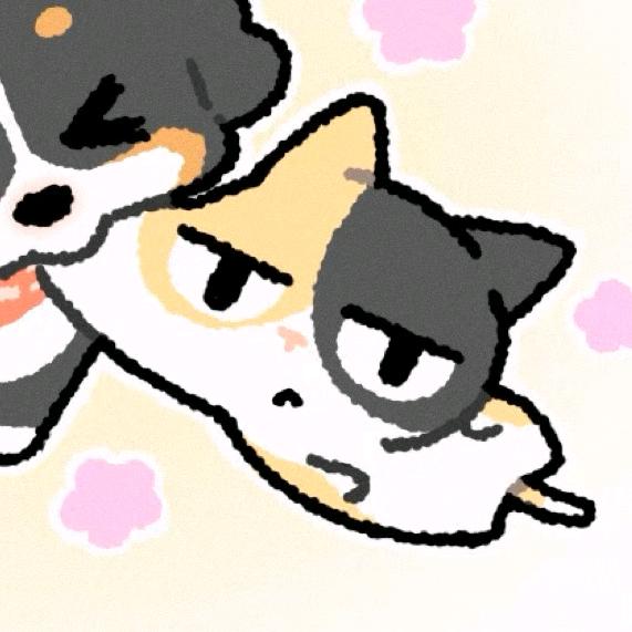 AAA.小黑猫批发