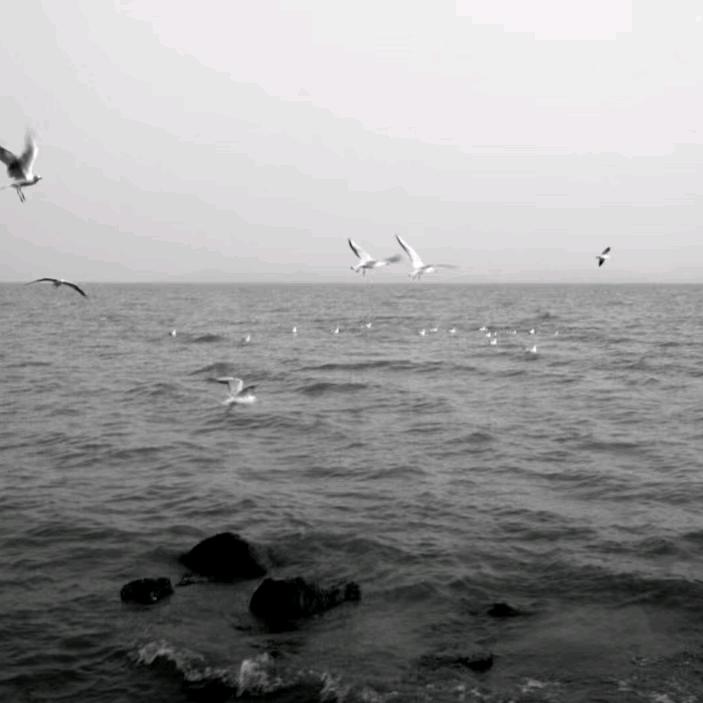 海阳.
