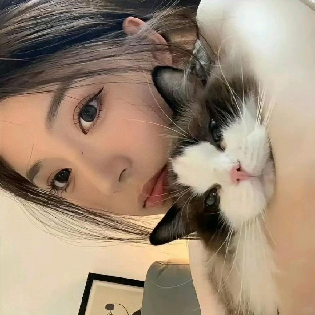猫奴酱酱