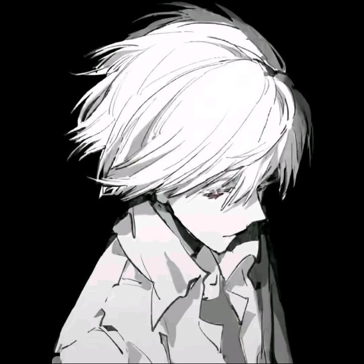 蔻逸