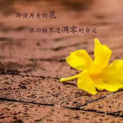 大叔爱文艺