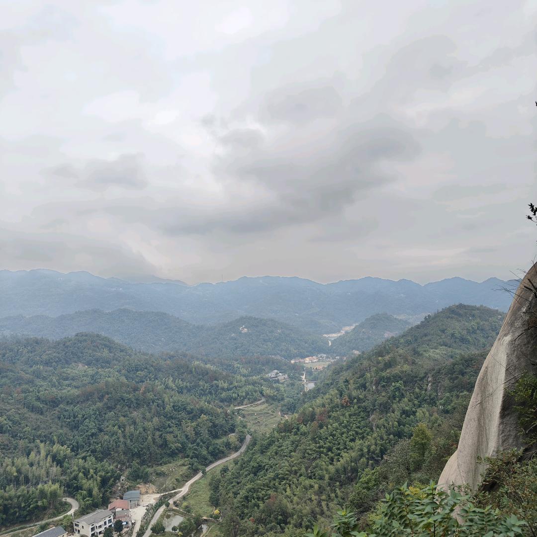 爱香菜折耳根☀️