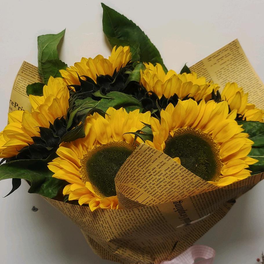 🌻 向阳而生 丶