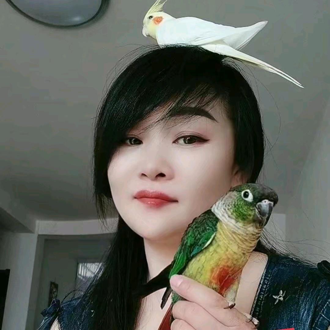 🍂听雨轩🍂