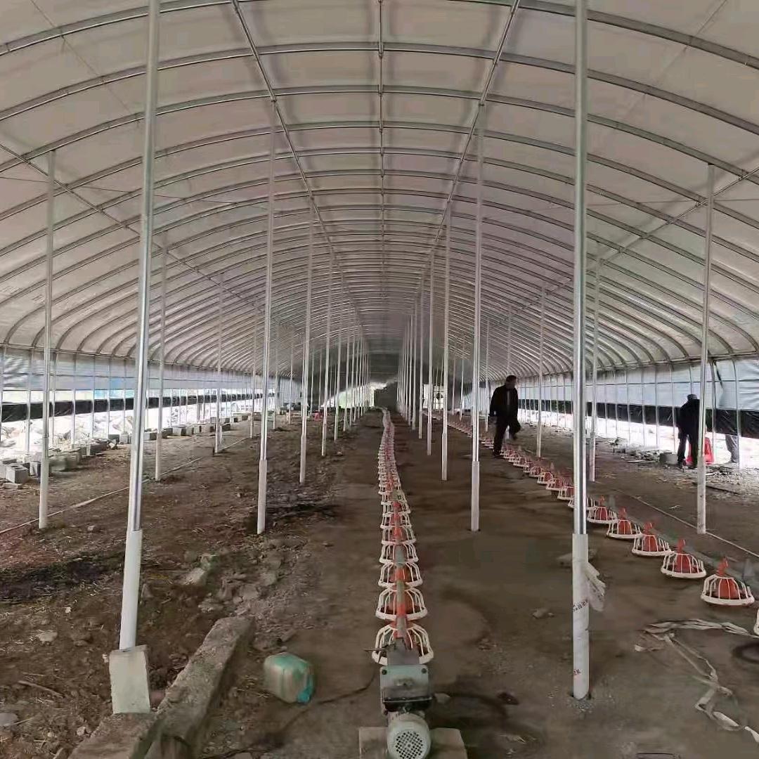 俊哥建养殖大棚【养殖设备】