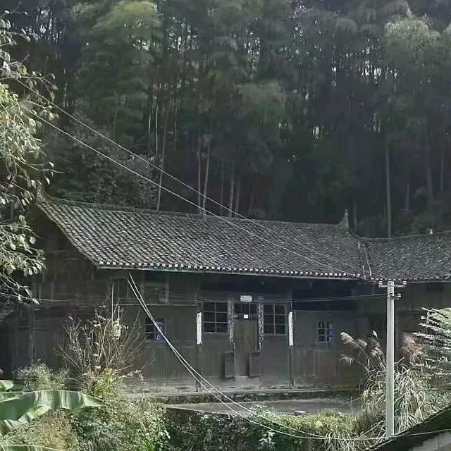 忆哥