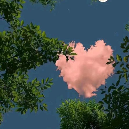 留恋さ寂寞🍁🍂