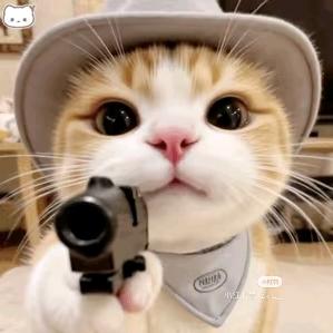 又是好看的一天