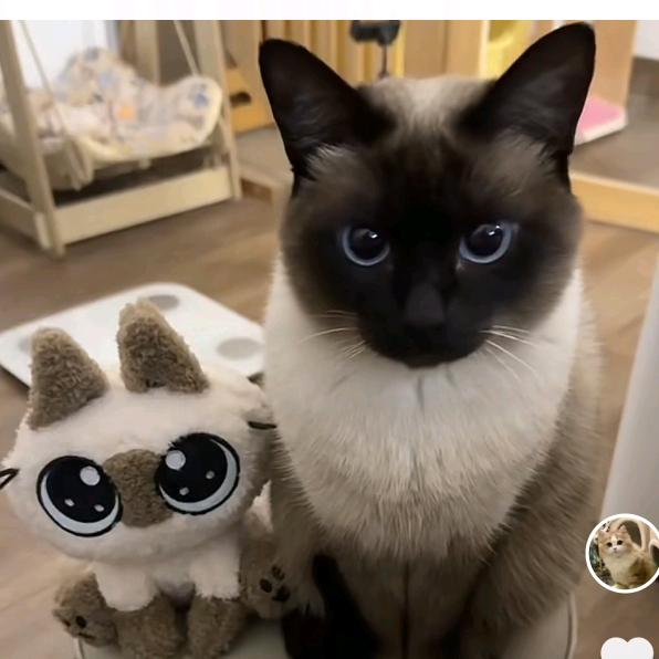 卡罗乐（暗区突围）（乱入三角洲）