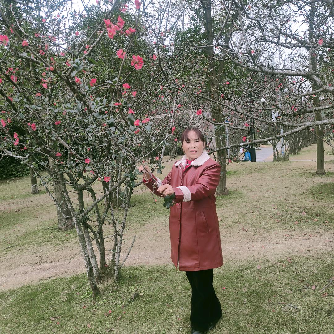 翠翠🌷🌷