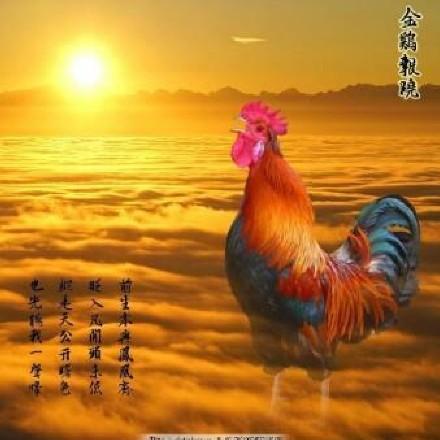 金鸡报晓666888