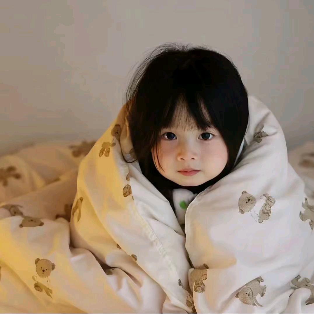 审车+车辆续保