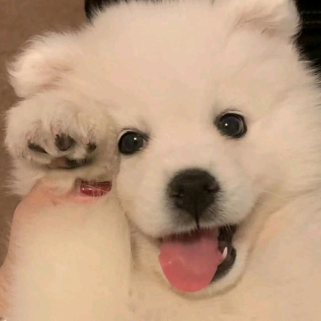 ᝰtꫝⅈꫛk