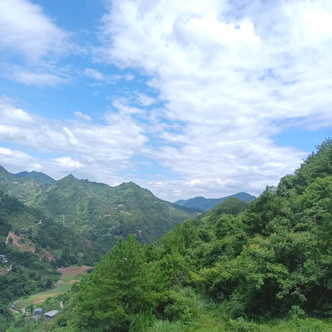 川渝🌹飞鱼🌹