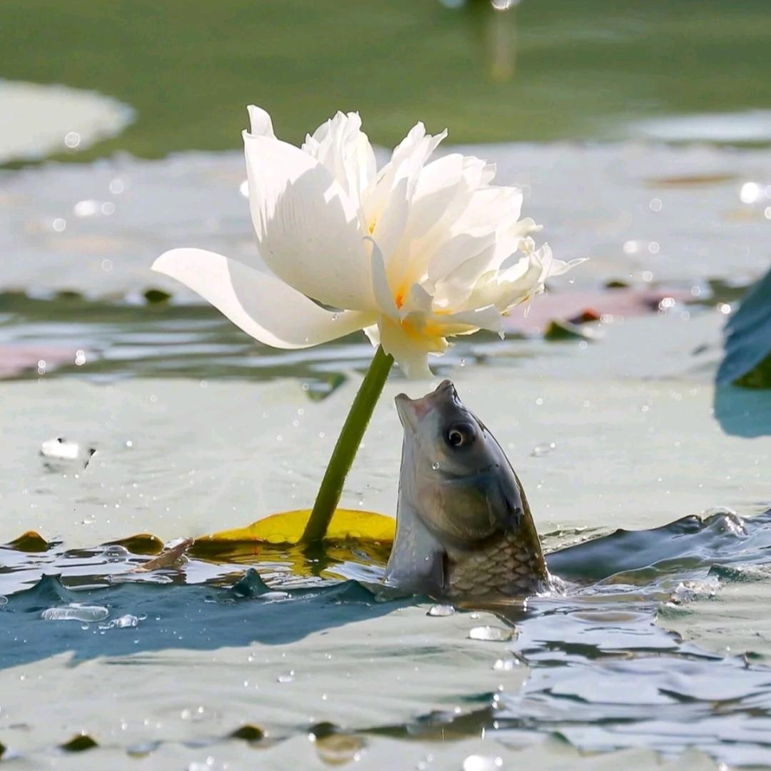 文蔚教育.代校长