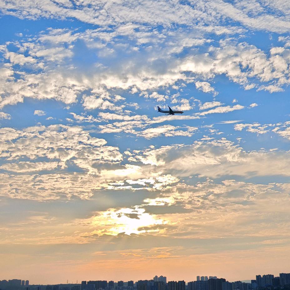 ("-?-")ԅ(¯﹃¯ԅ)