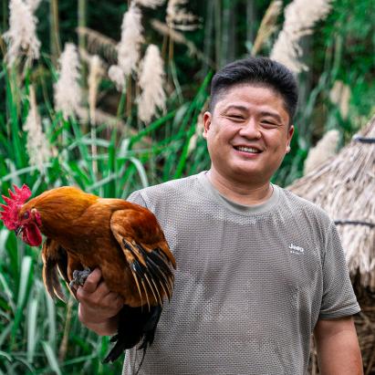 汪班长的鸡
