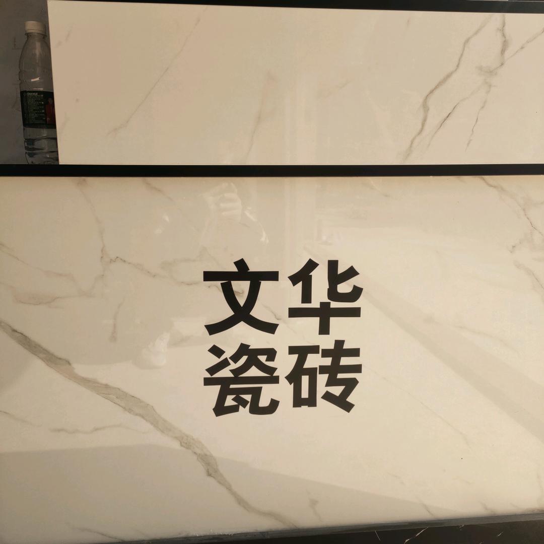 会飞的鱼……