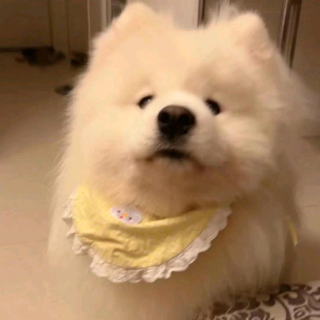 长得太帅是种悲哀