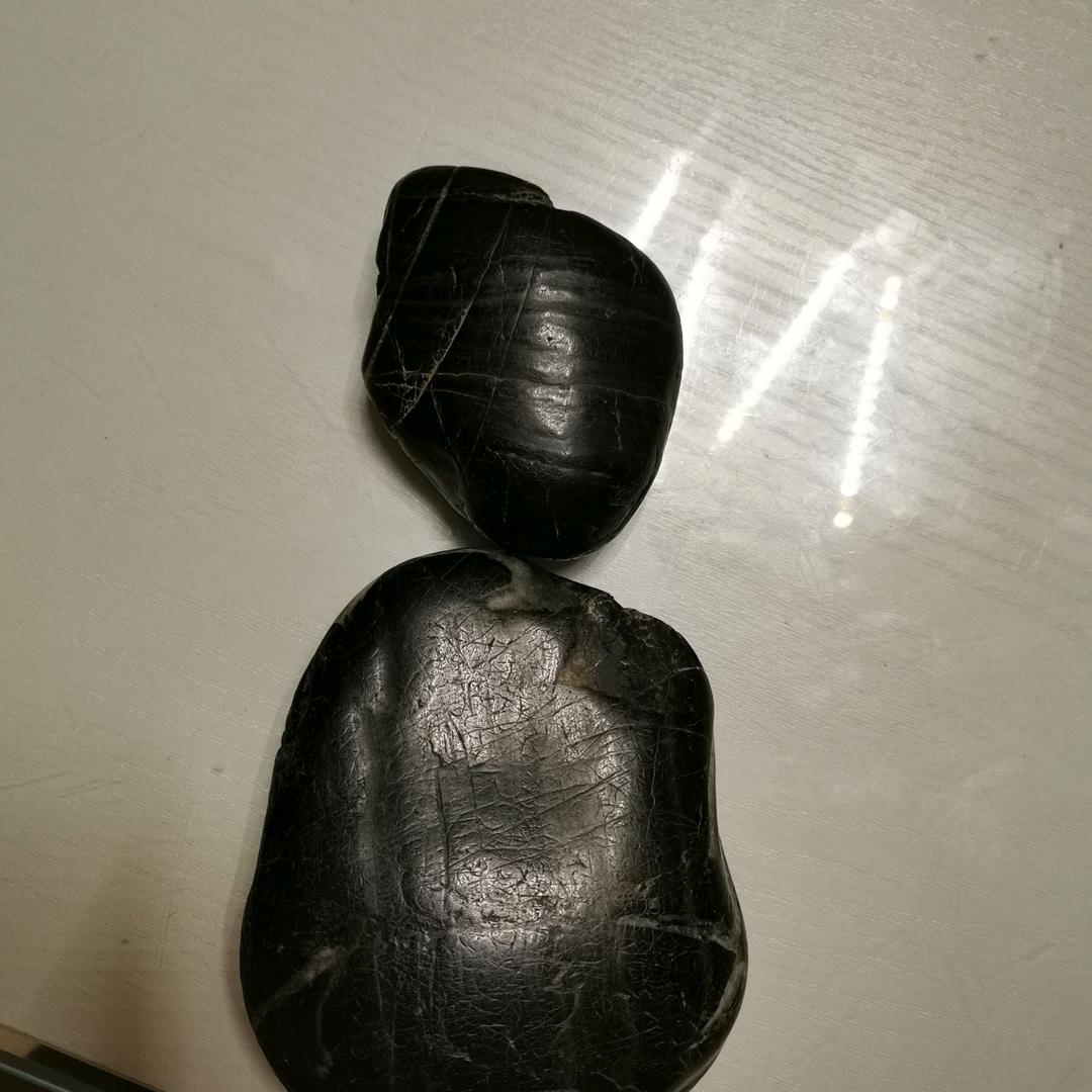 育苗苗 香槟小镇