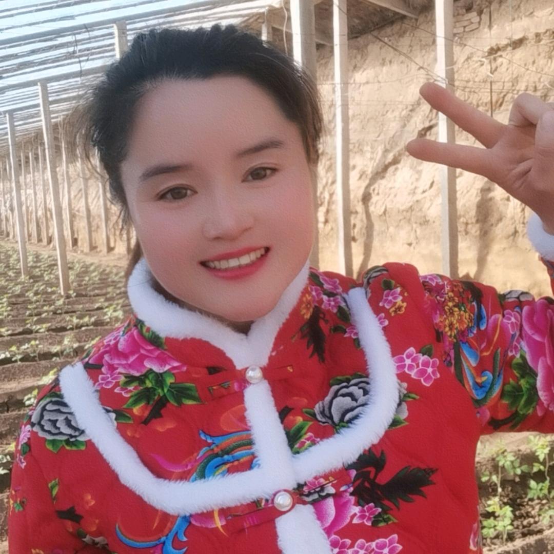 魏十一