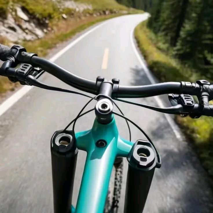 邢台市任泽区后安庄山地车