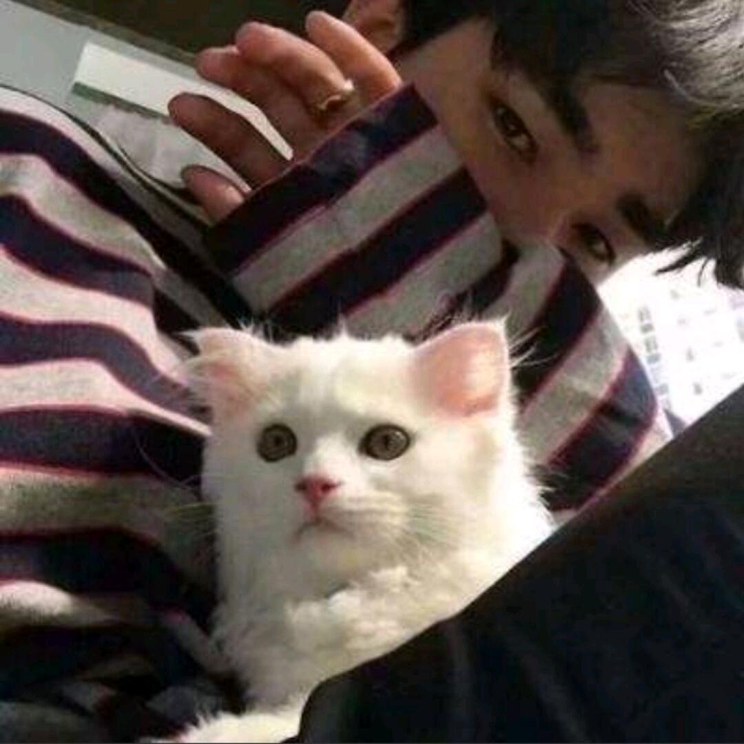 🌟 赖赖