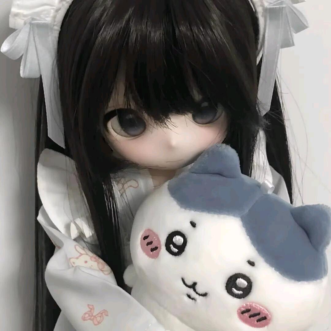 说话请投币OVO