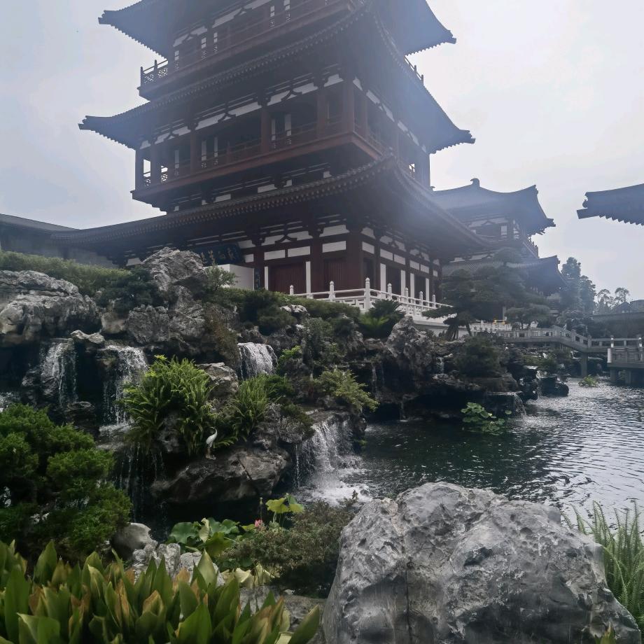 迷登哥