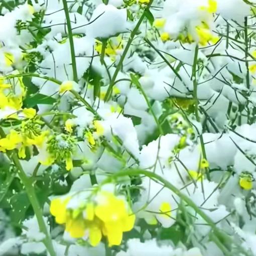 （活到老学到老）