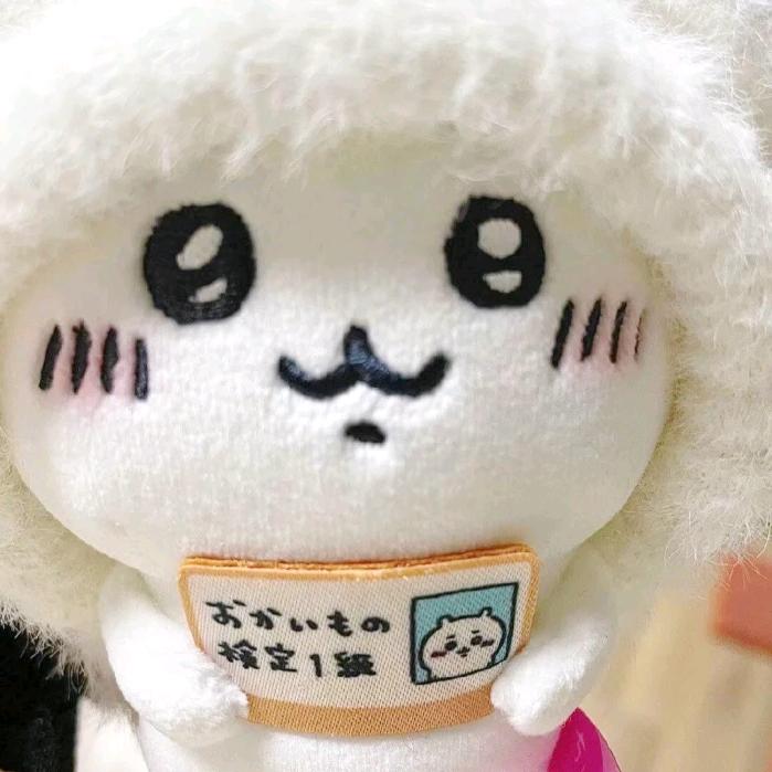 WFU回忆录