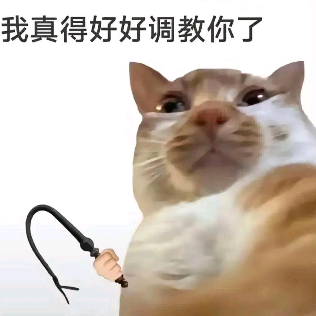 好好学长.