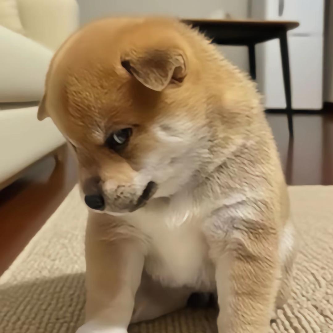 扶老奶奶闯红灯