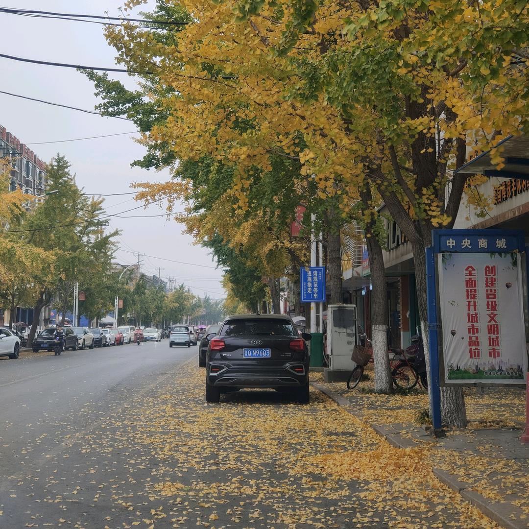 战狼_238511813