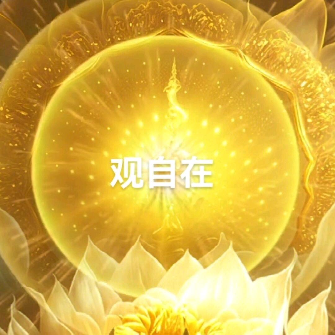 菩提树下莲华开