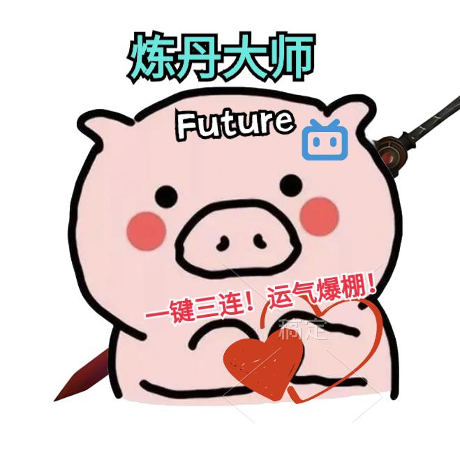 Ai算法工程师Future