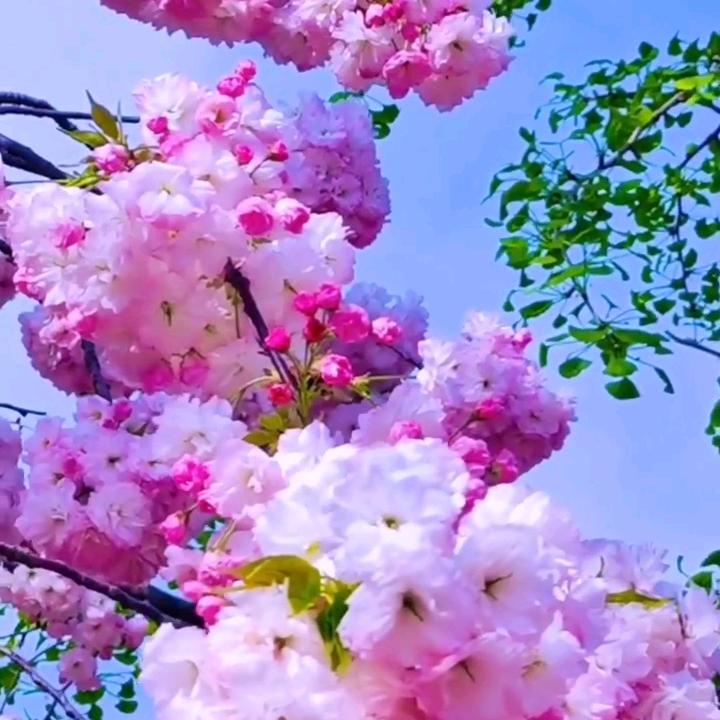 &忘&爱&止&步