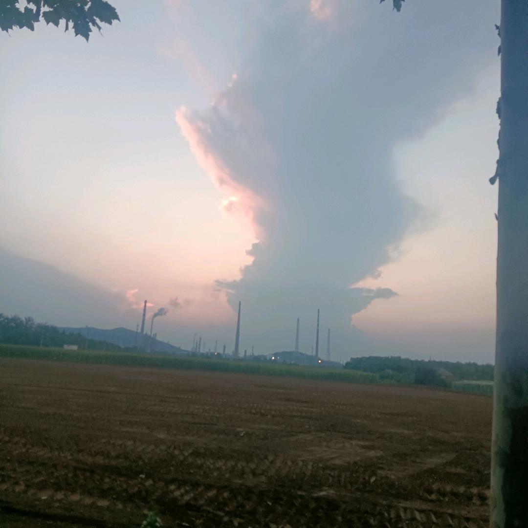 迷茫