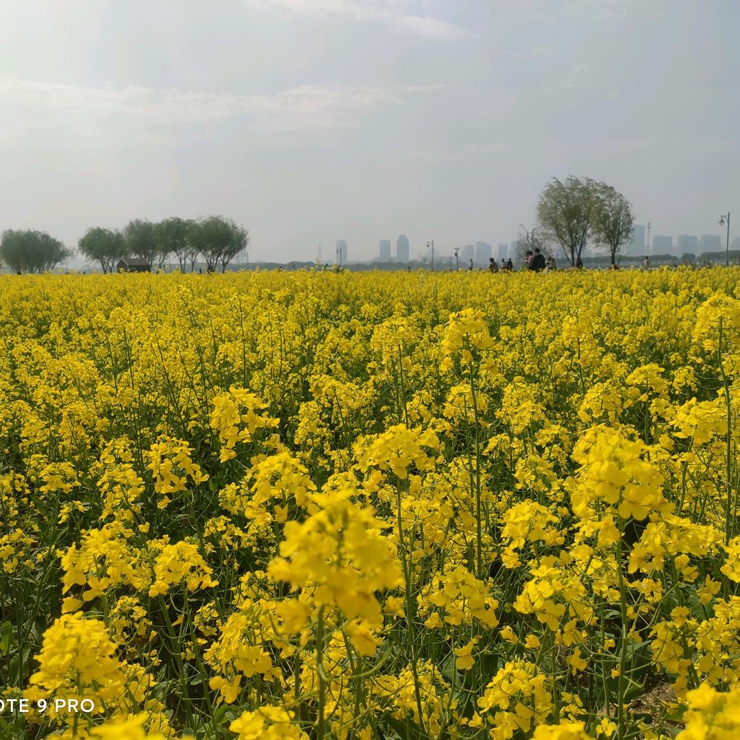 许我阳光,暖你四季