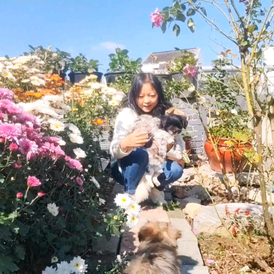 田田的花园