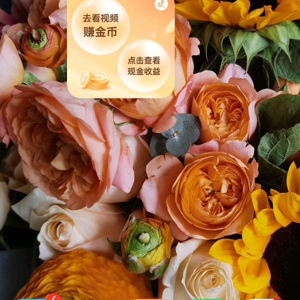 用户8593302522459