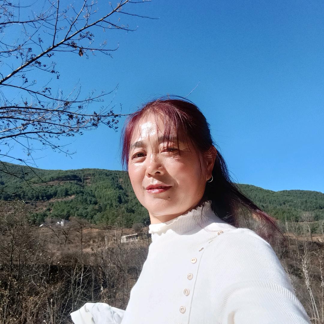 心随着梦飞
