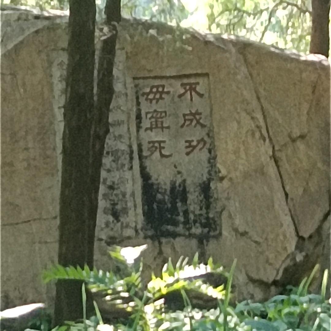 董庆